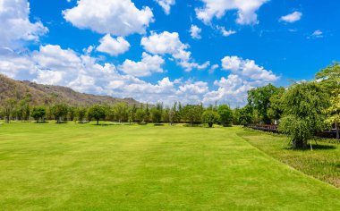 Yeşil ağaçların üzerinde mavi gökyüzü güzel park