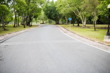 taze yeşil virajlı bir yol