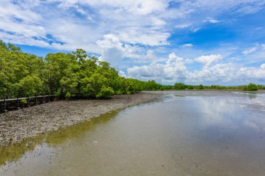 Ahşap-dan yapılan doğa öğrenme başlar ve yürümek-den geçerek Ceriops