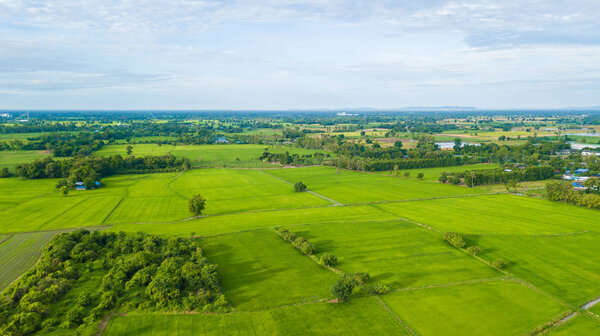 Aerial view of Fields with various types of agriculture in rural