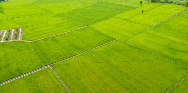 Αεροφωτογραφία του πεδία με διάφορους τύπους της γεωργίας στις αγροτικές — Φωτογραφία Αρχείου