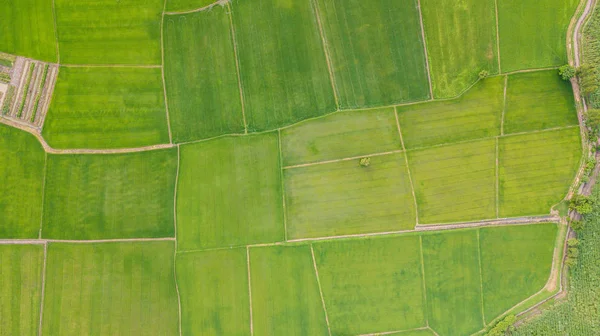 Arka plan ile çeşitli tip-in kırsal alanda tarım alanlarının 