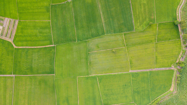 Background of Fields with various types of agriculture in rural 