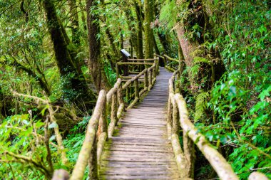 Ang Ka Luang doğa iz