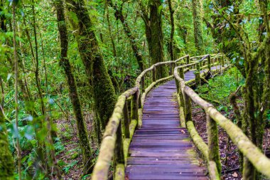 Ang Ka Luang doğa iz