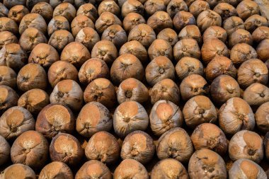 Kesme başıdır doğurmak için Hindistan cevizi parfüm