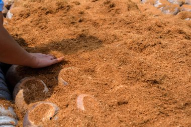 Bahçers Hindistan cevizi kabuğu saç yağmurlama ve kullanım el eşit