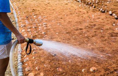 Bahçıvanlar doğurmak için Hindistan cevizi parfüm tarlaları sulanıyor