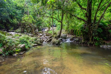 nakhon nayok, Tayland sarıka şelale tropikal doğa