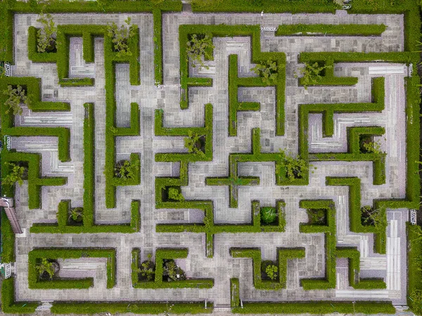 Décoration de jardin est un labyrinthe avec des feuilles vertes clôture murale avec co — Photo