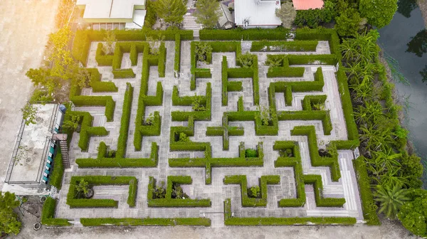 Garden Decoration is a maze with Green leaves wall fence with co
