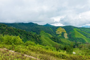 Dağ ve deniz sis sabah görünümü