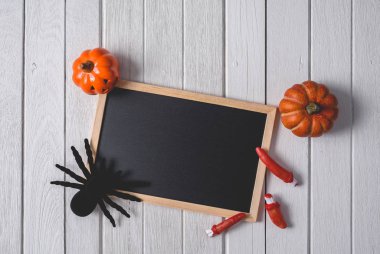 Kabaklar, siyah örümcek ve karatahta ile cadılar bayramı arka plan 