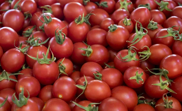 Κοντινό Πλάνο Του Ομίλου Φρέσκο Κόκκινες Ντομάτες Στην Αγορά Των — Φωτογραφία Αρχείου