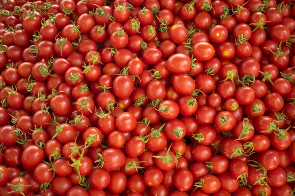 Perto Grupo Tomates Vermelhos Frescos Mercado Agricultores Comida Saudável Fundo — Fotografia de Stock