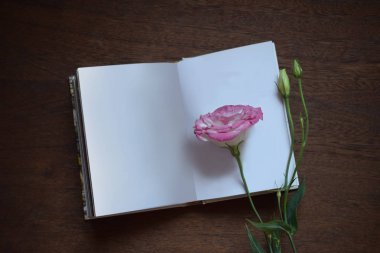 Hassas Eustoma Lisianthus (Texas bluebell, çayır centiyana) çiçek ve bir beyaz sayfa koyu ahşap arka plan üstünde defter. Senin metin için yer