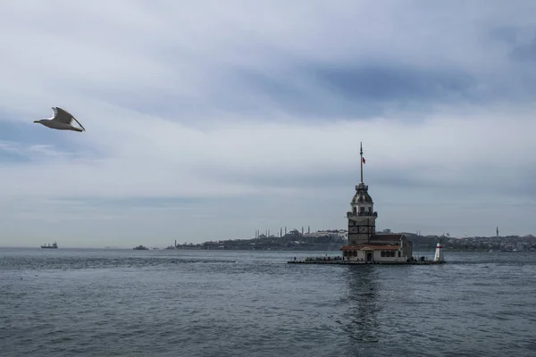The seagull flies past the maiden tower. Maiden\'s Tower (Kiz Kulesi, Leander\'s Tower, Tower of Leandros) Istanbul, Turkey. Bosphorus view