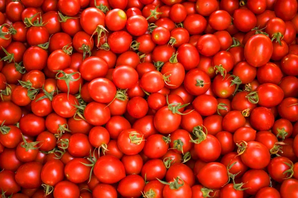 Pomodori Rossi Freschi Campo Mercato Agricolo Cibo Sano Sfondo Vegano Immagine Stock