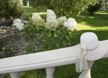 White hat with ribbon on the parapet and white Hydrangea (Hortensia flower) at the park. Spring or summer romantic lifestyle background. clipart