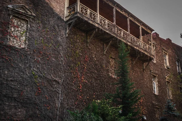 Bir park Tiflis büyümüş ev