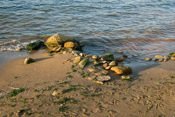 Ein Bündel Felsen Und Algen Wilden Strand Morgengrauen — Stockfoto
