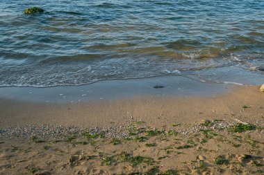 Vahşi sahilde ışık dalgaları