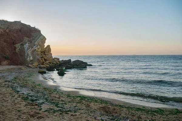 Wild Beach Cliff Seaweed Black Sea Dawn — Stock Photo, Image