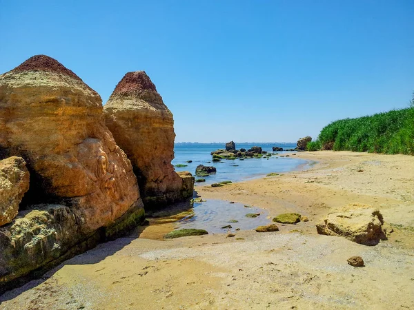 黄色い砂と緑の茂みと野生のビーチで苔と海藻と大きな岩 — ストック写真