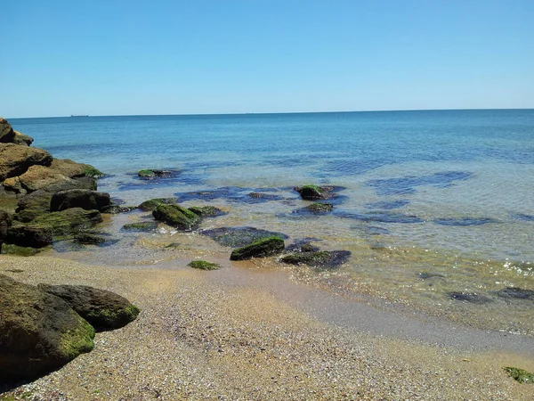 Piedras Con Musgo Algas Playa Salvaje Con Arena Amarilla Agua —  Fotos de Stock