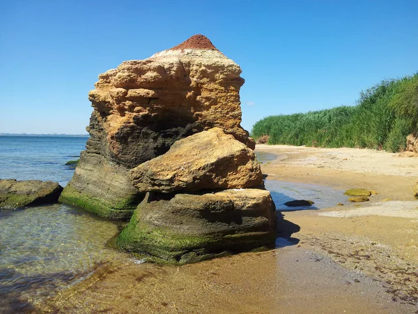 Großer Felsen Mit Moos Und Algen Wilden Strand Mit Gelbem — Stockfoto