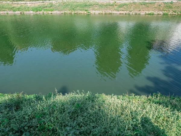 Şehir merkezinde parkta sahilde ağaç gölgeleri ve yeşil çimenile nehir yüzeyi