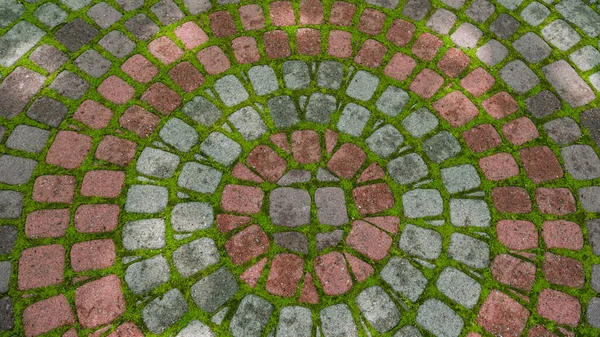 Grey and light orange street square tile with green grass between the seams — Stock Photo, Image