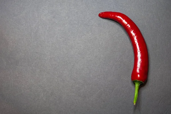 One red chili pepper, lying on the right side with copy-space. Black, dark grey background — Stock Photo, Image
