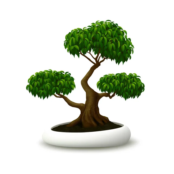 Albero Bonsai Con Foglie Verdi Vaso Fiori Isolato Sfondo Bianco — Vettoriale Stock