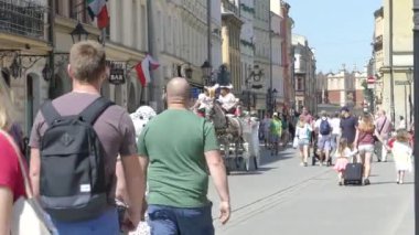 Krakow, Polonya - 5 Mayıs 2018: Şenlikli zengin koşum safkan atlar. Eski bir şehir bir arabası yürümek.