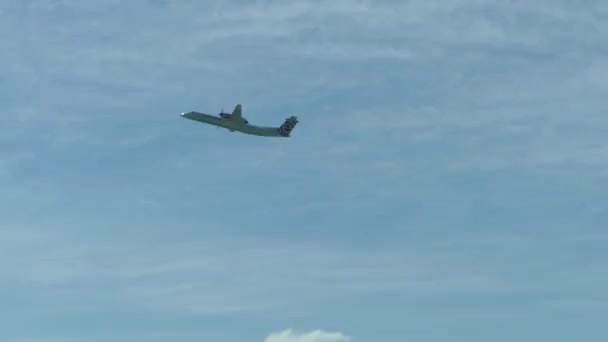 Avión Vuela Cielo Azul Vista Través Del Follaje Los Árboles — Vídeo de stock