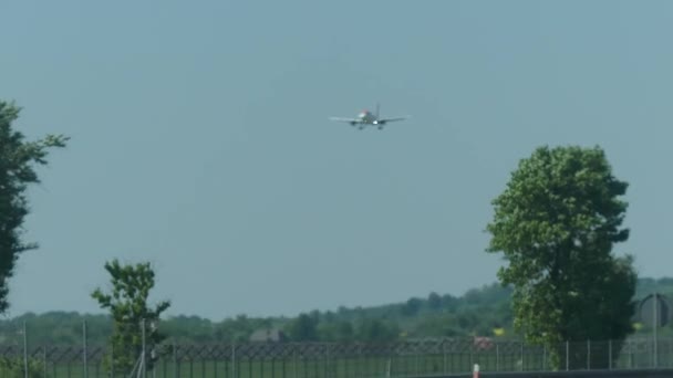 青い空に飛行機が飛ぶ 木の枝の下を表示します — ストック動画