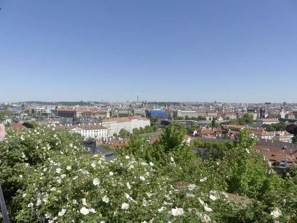 Praga Czechy Maja 2018 Panorama Miasta Pragi Nieruchomości Pradze Widok — Zdjęcie stockowe