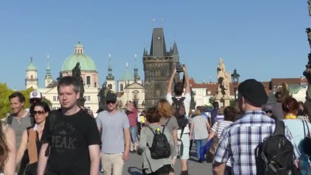 Praga Republika Czeska Maja 2018 Ludzie Spacery Wzdłuż Mostu Karola — Wideo stockowe
