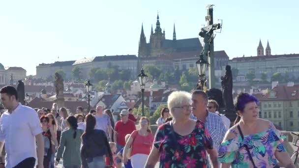 Prague République Tchèque Mai 2018 Les Gens Marchent Long Pont — Video