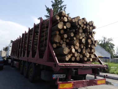 Kamyonu günlükleri, yolda taşır. Kesme günlükleri bir kamyona yüklenen