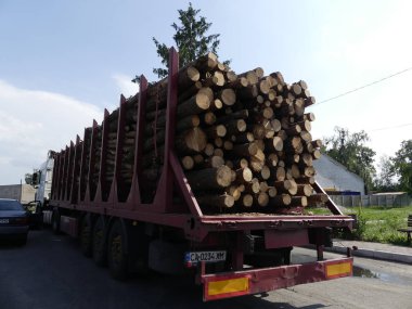 Kamyonu günlükleri, yolda taşır. Kesme günlükleri bir kamyona yüklenen