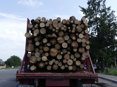 Kamyonu günlükleri, yolda taşır. Kesme günlükleri bir kamyona yüklenen