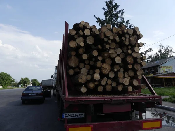 Kamyonu günlükleri, yolda taşır. Kesme günlükleri bir kamyona yüklenen