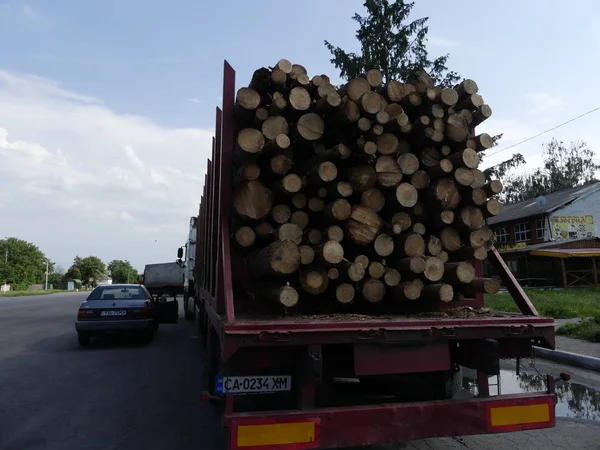 Kiev Ucrânia Junho 2018 Caminhão Transporta Logs Estrada Troncos Cortados — Fotografia de Stock
