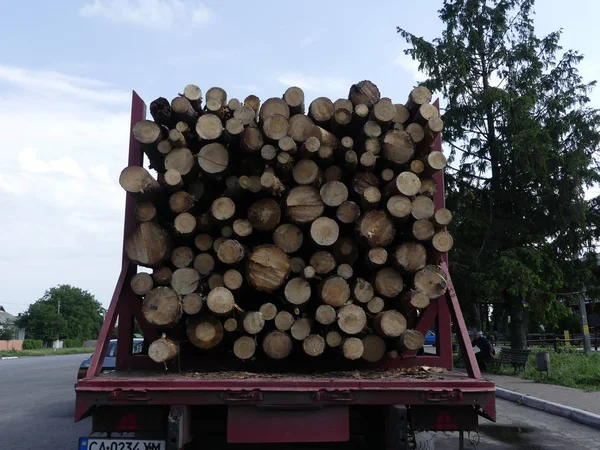 Camion Transporte Des Billes Sur Route Les Billes Coupées Sont — Photo