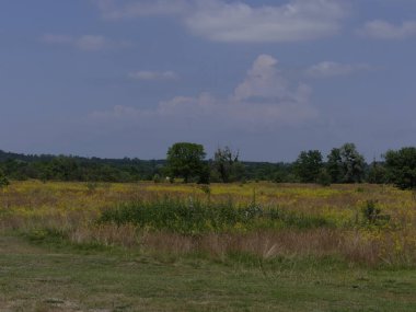 mavi gökyüzüne karşı bozkır peyzaj