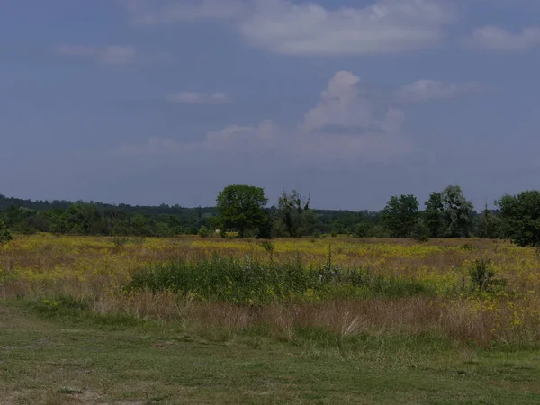 mavi gökyüzüne karşı bozkır peyzaj