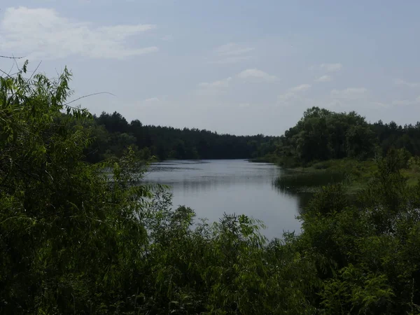 Paisaje Del Río Bosque — Foto de Stock