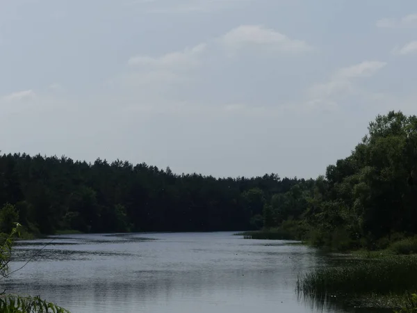 Landskap Skog Floden — Stockfoto